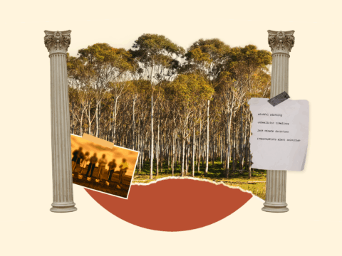 Plantrite_Article 02